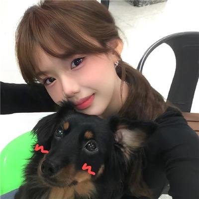 公牛犹斗